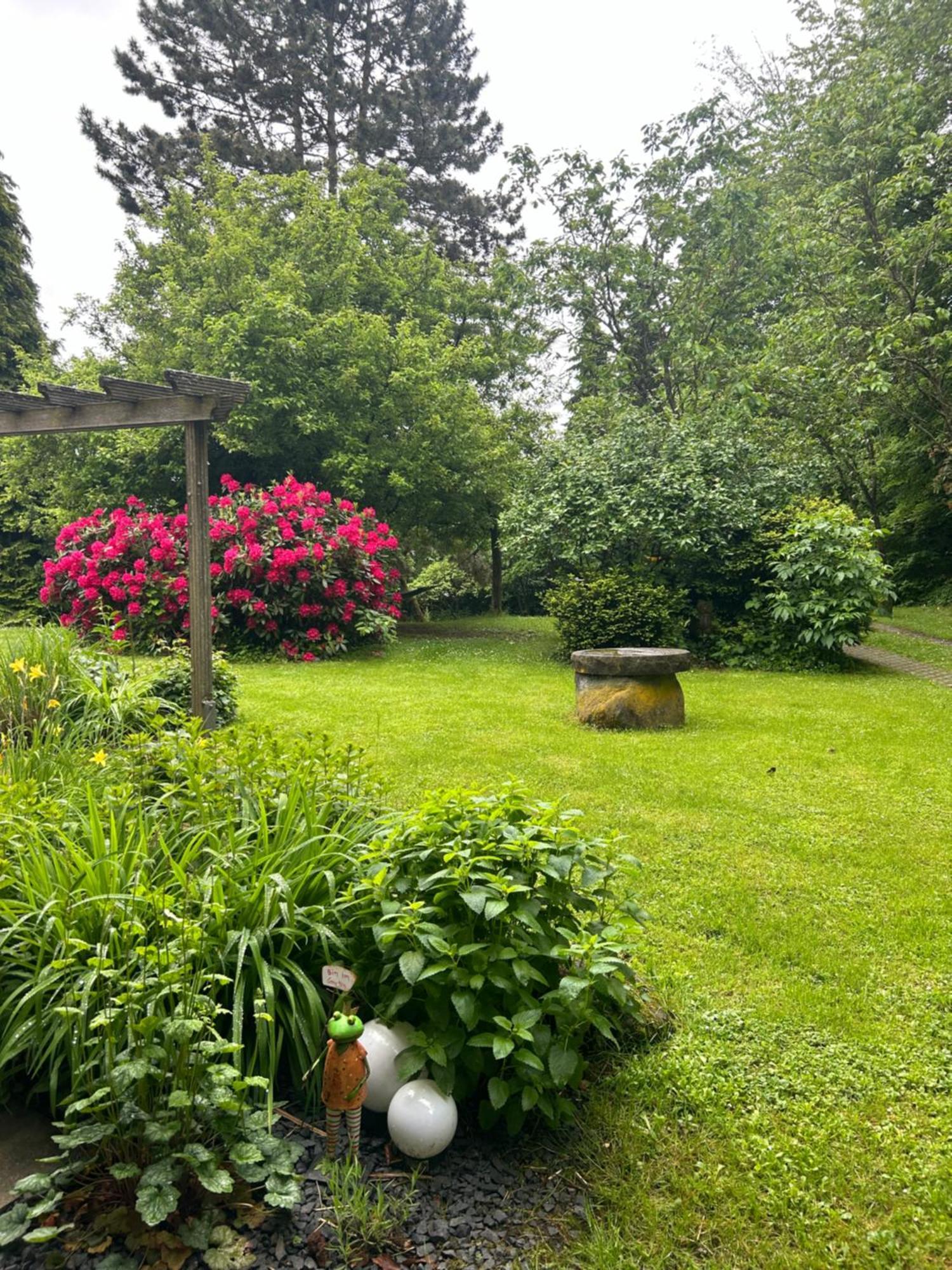 Ferienapartments Engeln Eifel Kempenich ภายนอก รูปภาพ