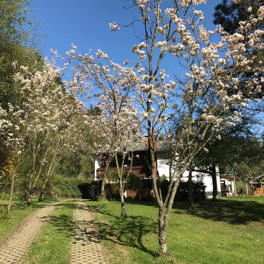 Ferienapartments Engeln Eifel Kempenich ภายนอก รูปภาพ